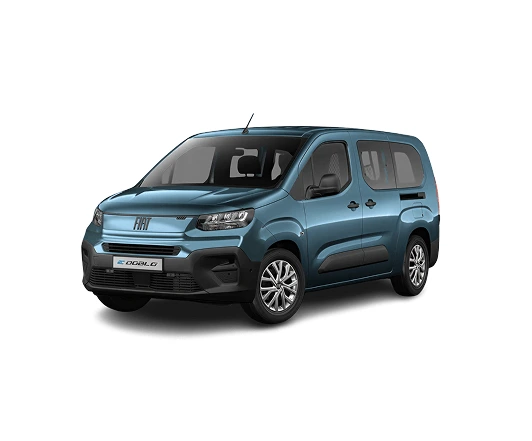 Stellantis Financial Services Polska Fiat Professional