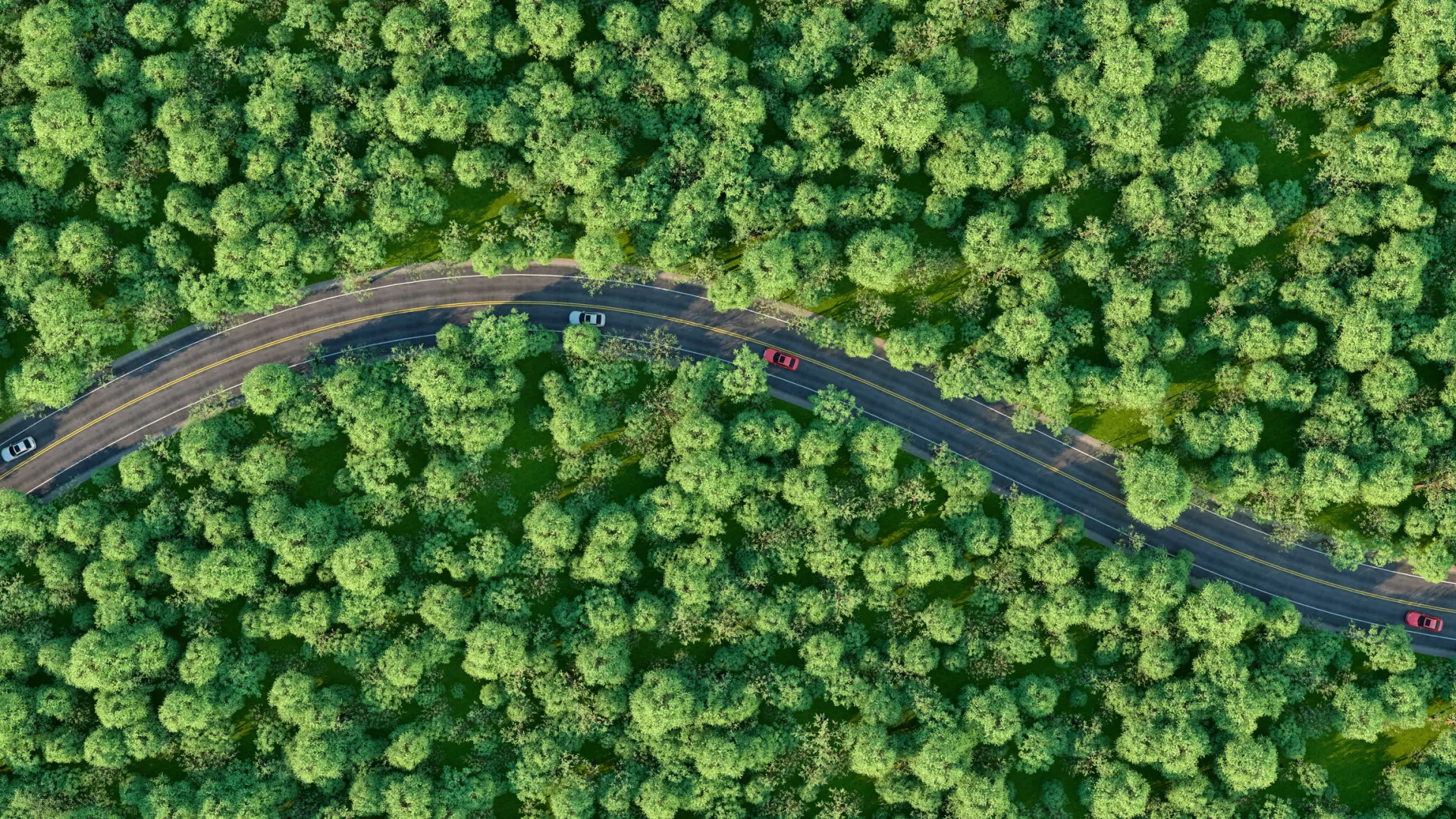Aerial View of a Winding Road Through a Dense Green Forest